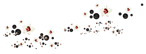0_1c5820_d73872a8_X5L.png