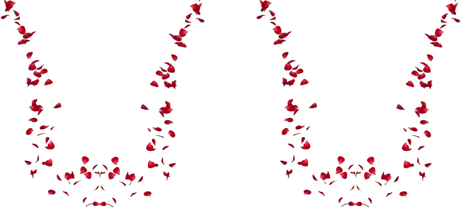 0_1fe824_9a9dca08_X5L.png