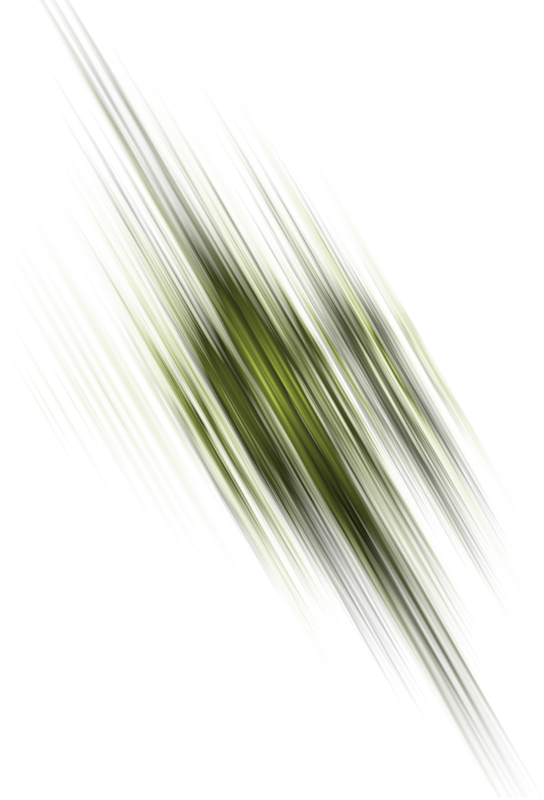 0_2a5c95_d6ed8628_XL.png