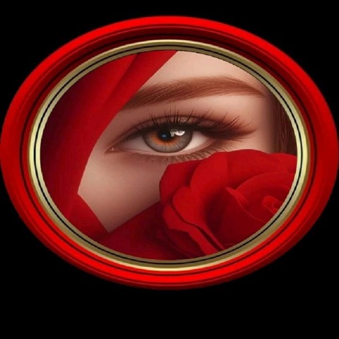 ea98ab2deee510d8969551329311e287 (480 x 480).jpg