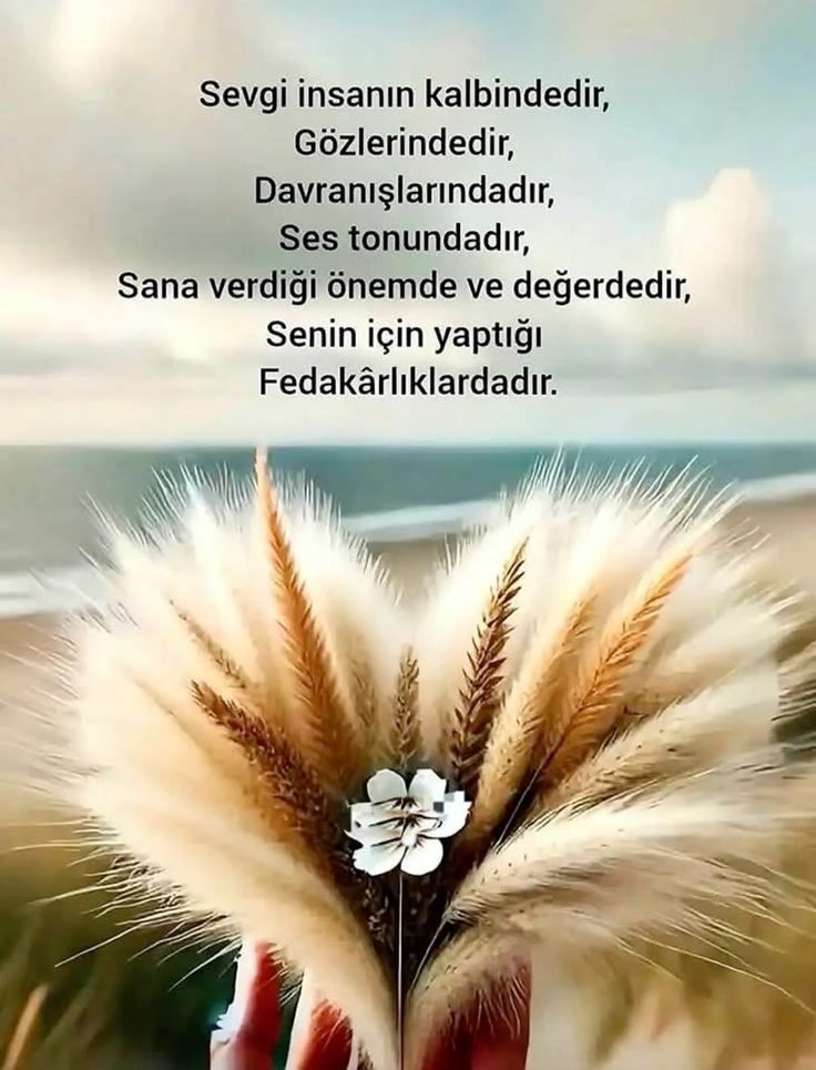 ebfa489d032345bcc6ddc4853f4fb559.jpg