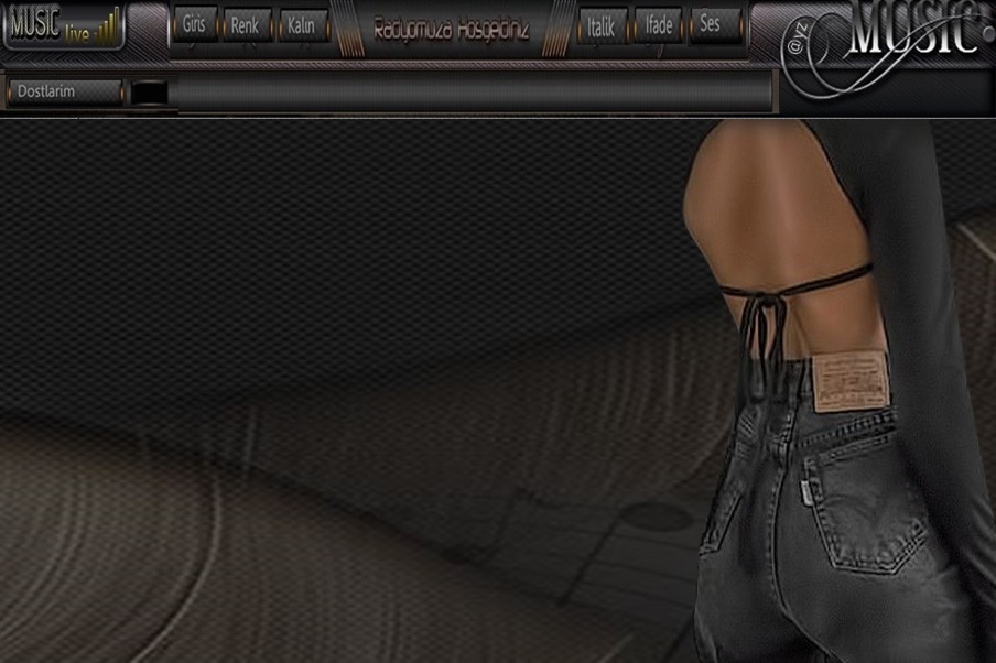LS4.jpg