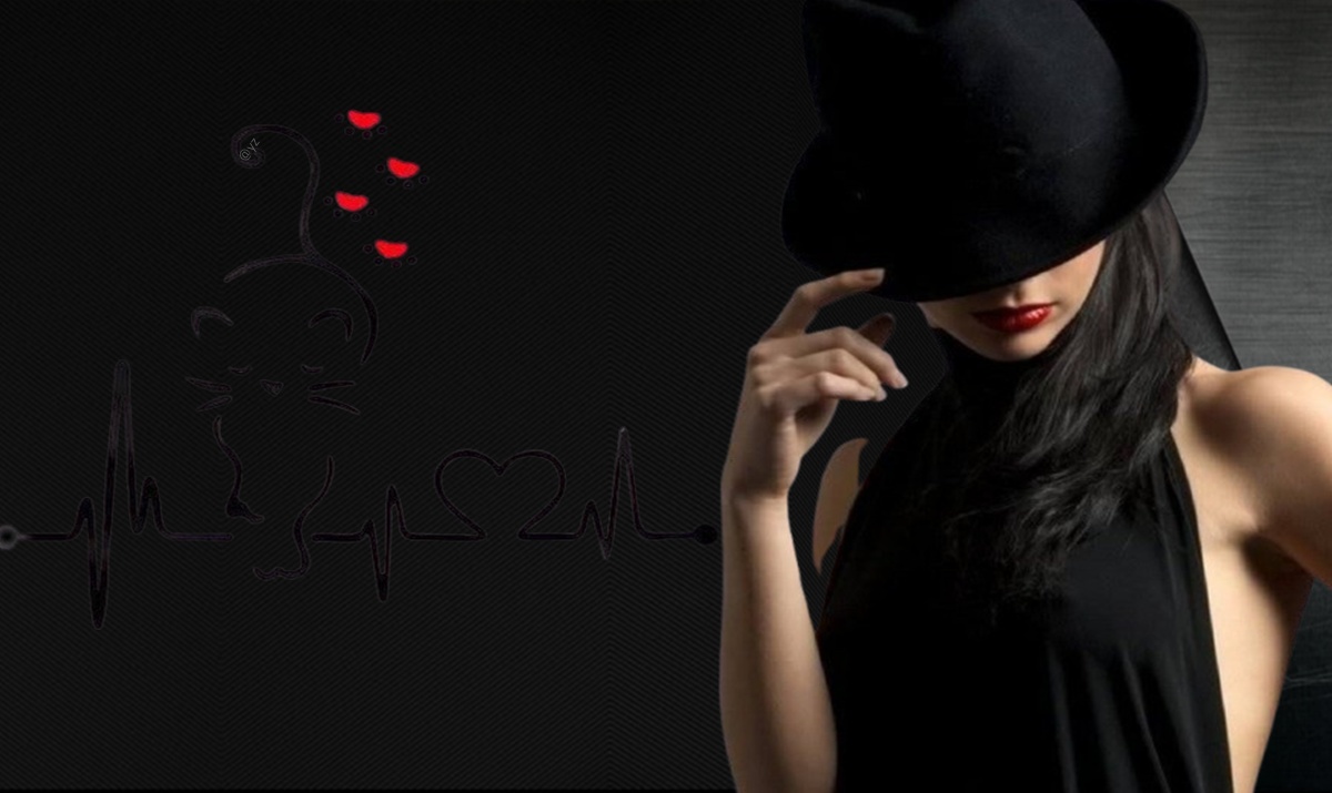 XX8.jpg