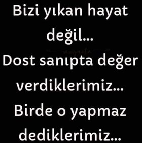 Z8.jpg