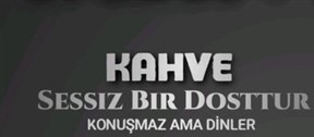 Z9.jpg