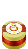 gs4-removebg-preview.png
