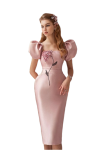 ns-woman2859-removebg-preview.png