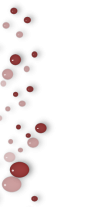 T5.png