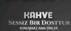Z9.jpg