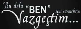 Z20.jpg